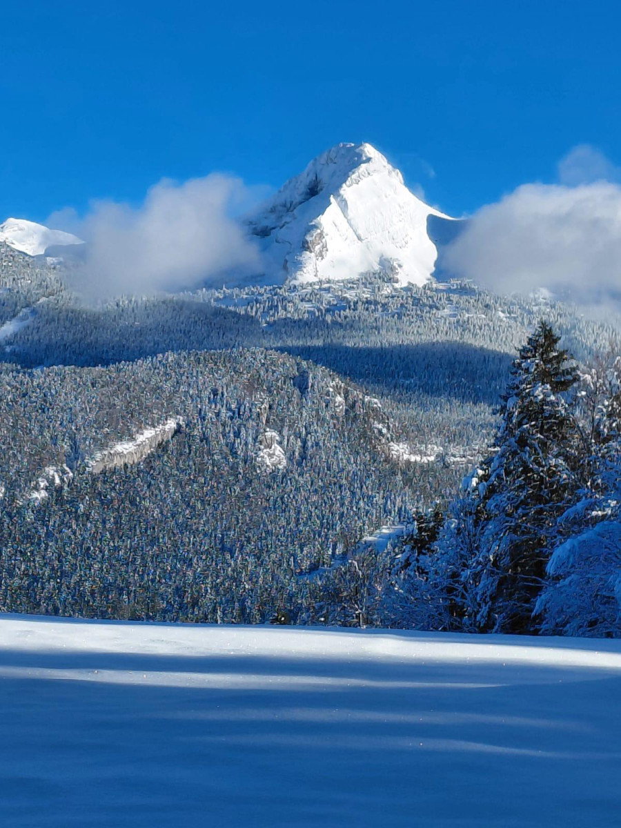 Vercors